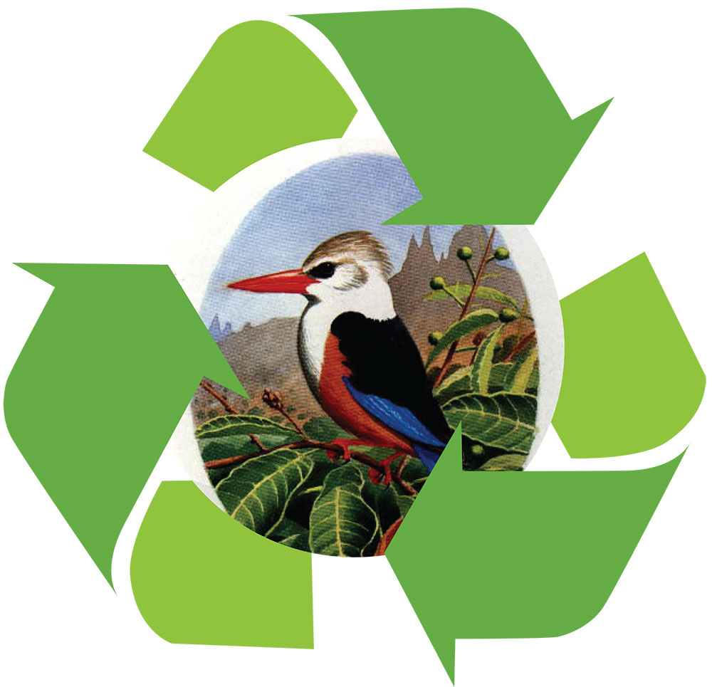 aves reciclage